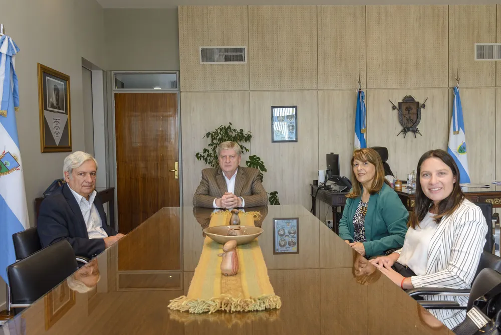 ziliott ocon radicales