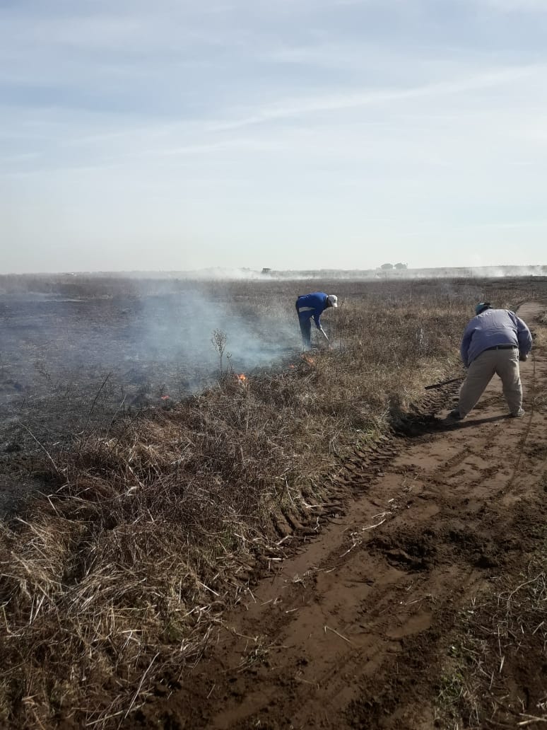 d3f062f8-34af-433c-af75-18e2d97592ea