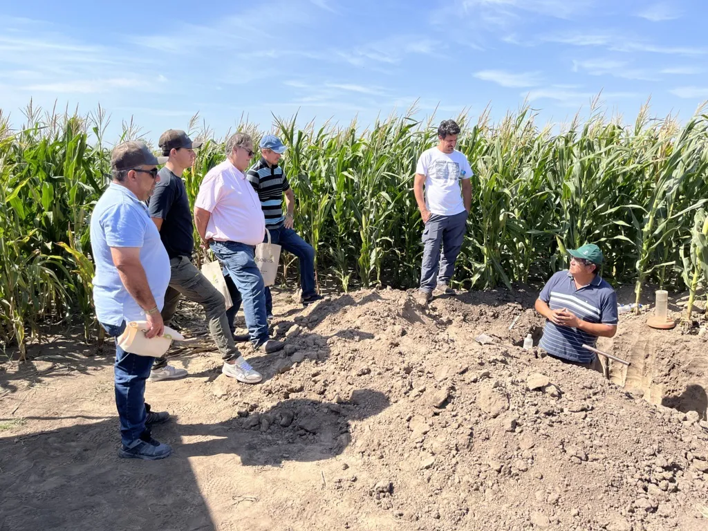 agronehuen 15 (FILEminimizer)