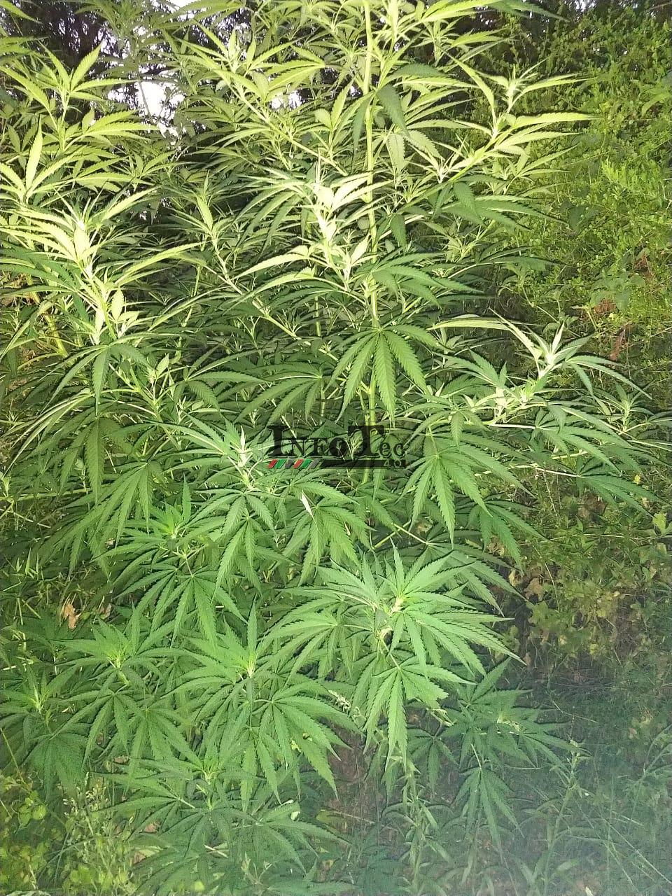 86dec0a0-220a-43d9-b9fe-7b4f568a49a1