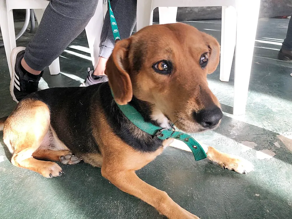 351990637_1310024756250682_8802516078185122845_n