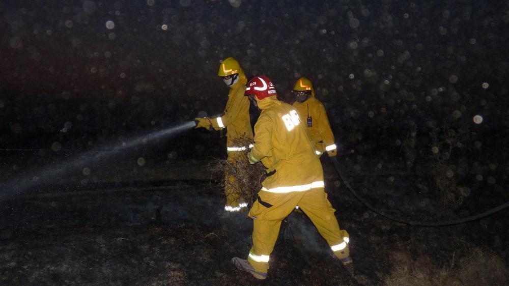 P1050711 (FILEminimizer)