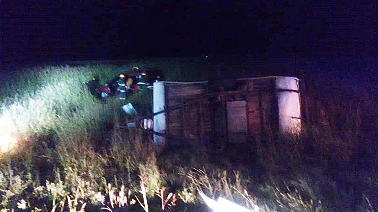 25655ddf-1552-4337-a2df-19506c73fe18