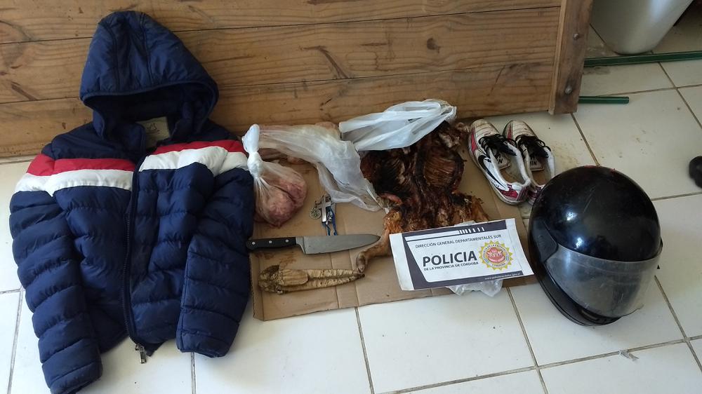 19dce1b5-19fa-4d47-9411-4fe46f09e14f