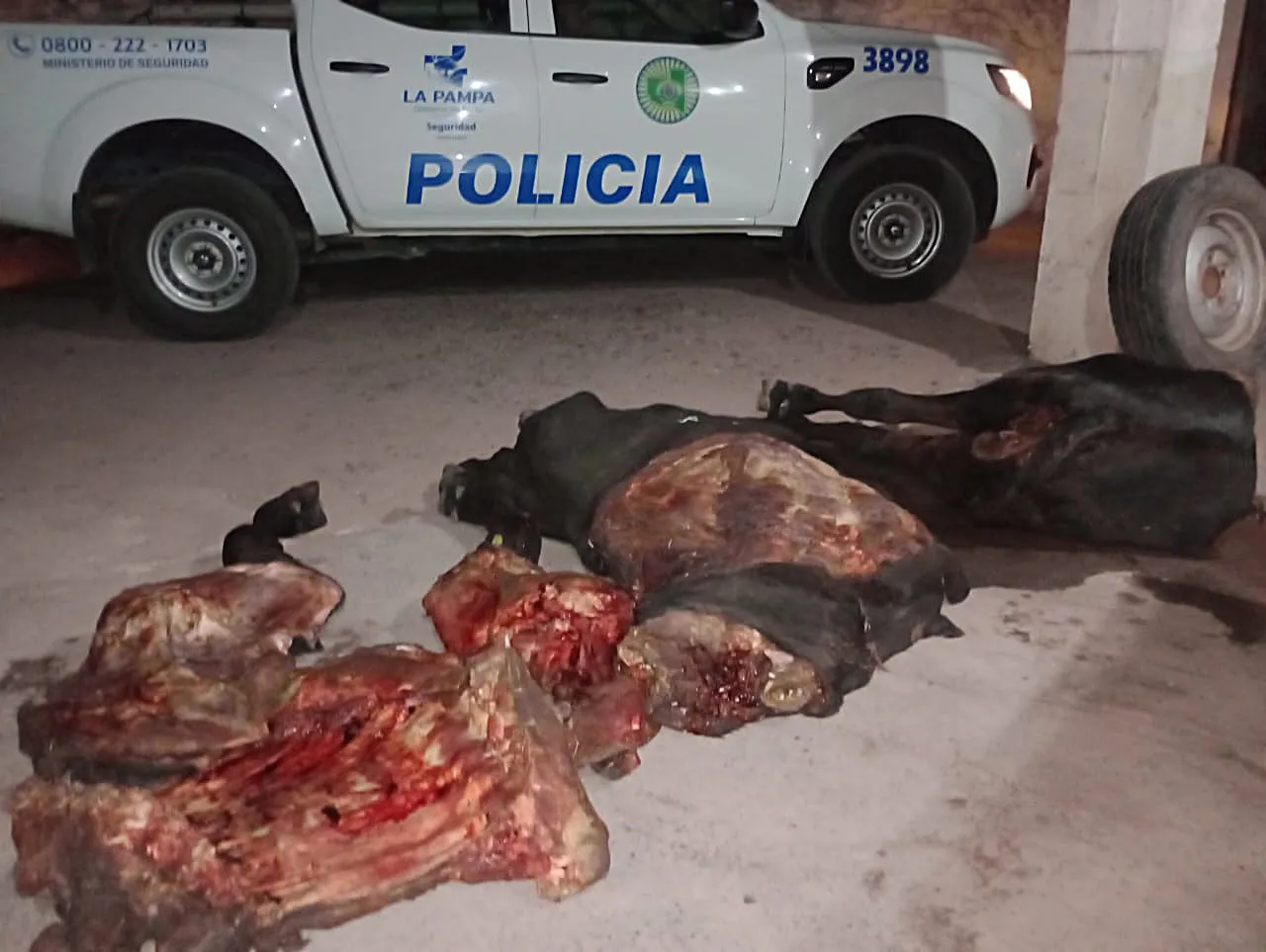 carne
