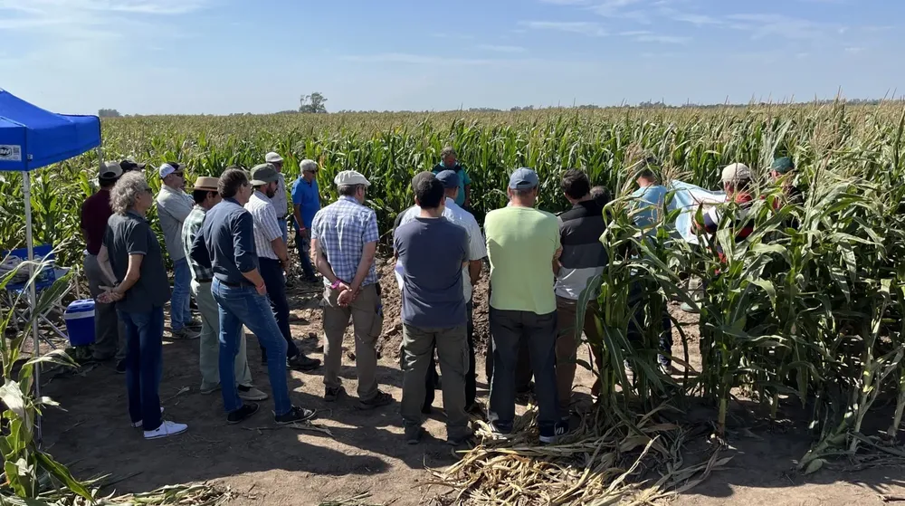 2agronehuen 1 (FILEminimizer)