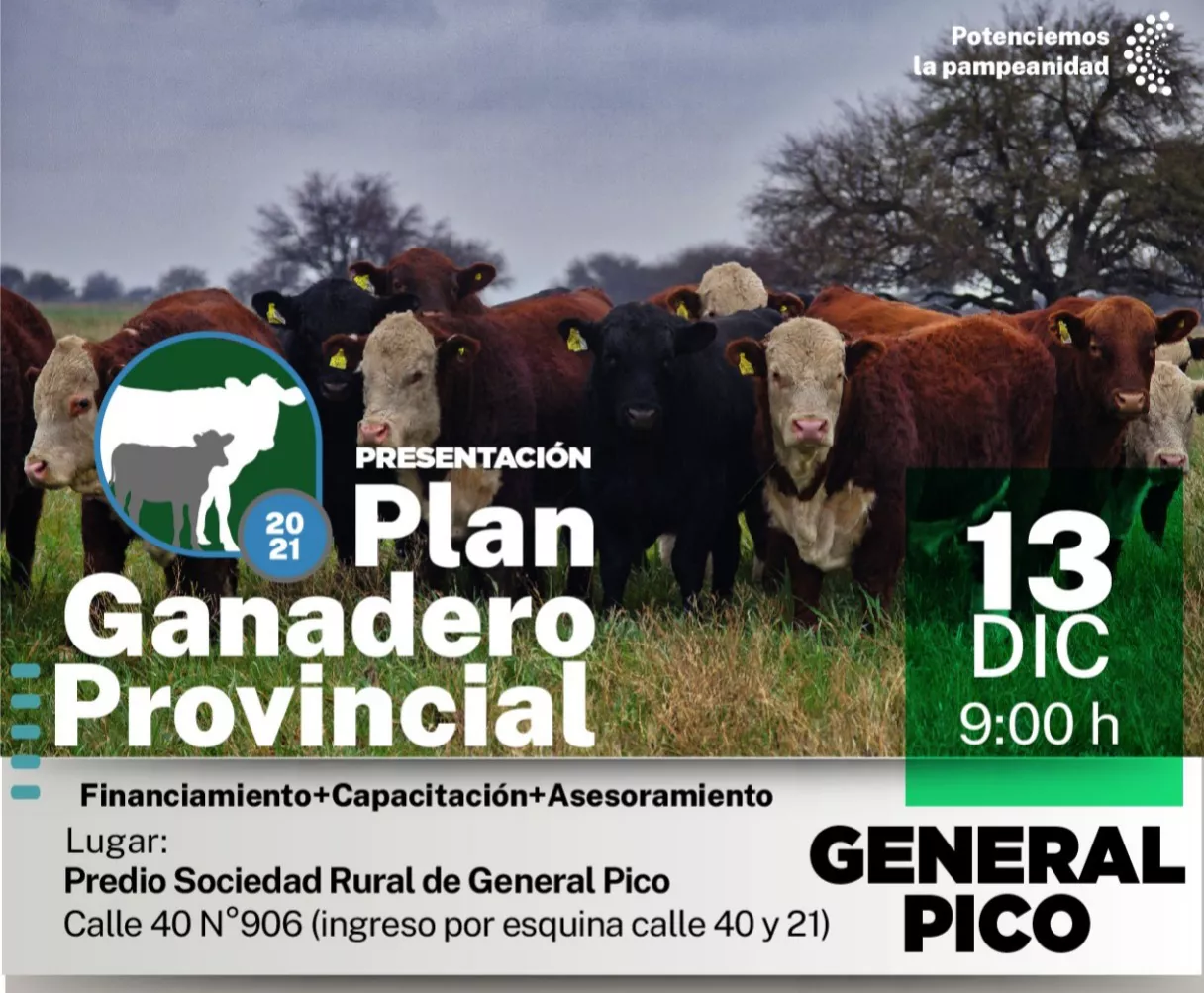 plan ganadero provincial
