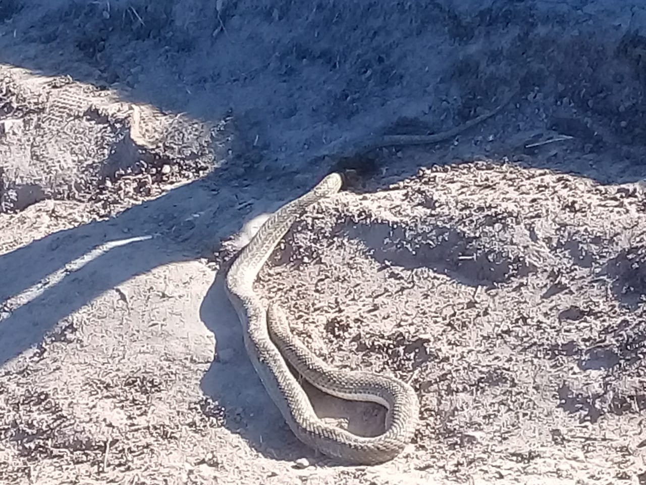 92307178-5573-4daf-970c-0490491c654d