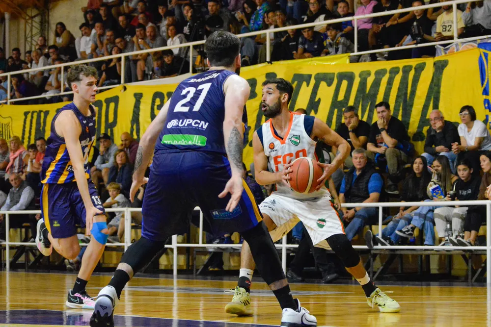 cerda