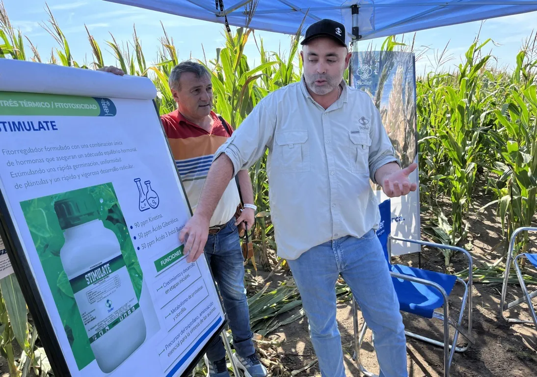 agronehuen 12 (FILEminimizer)