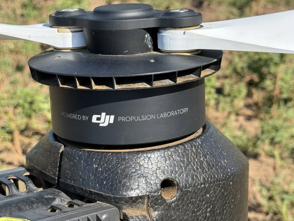 agrnehuen jornada lagos 19 FILE