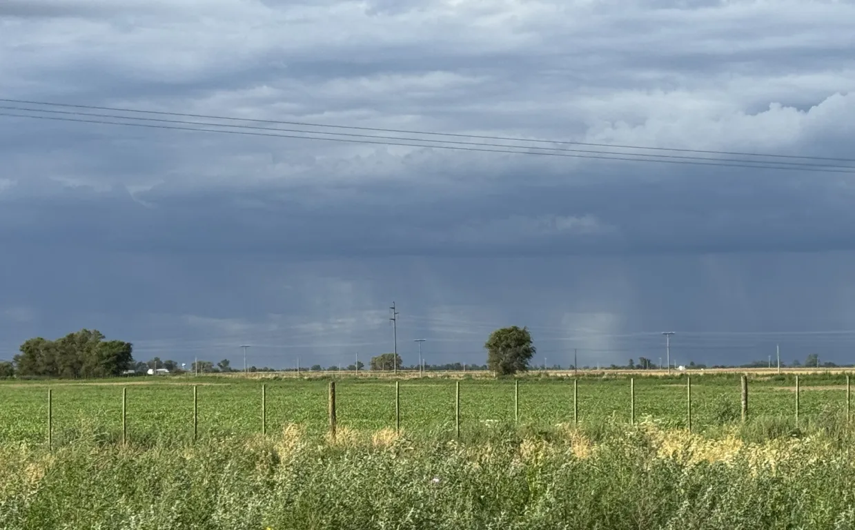 lluvias desde lejos 2 FILE
