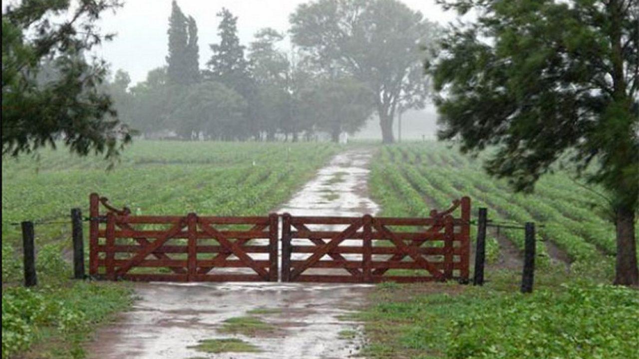 campo