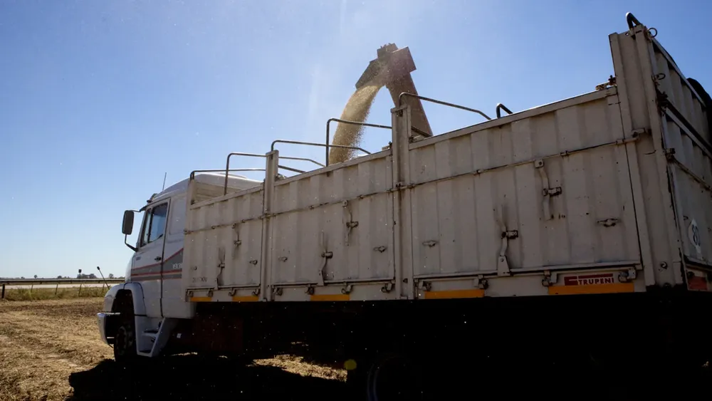 camion-con-granos-1568x882