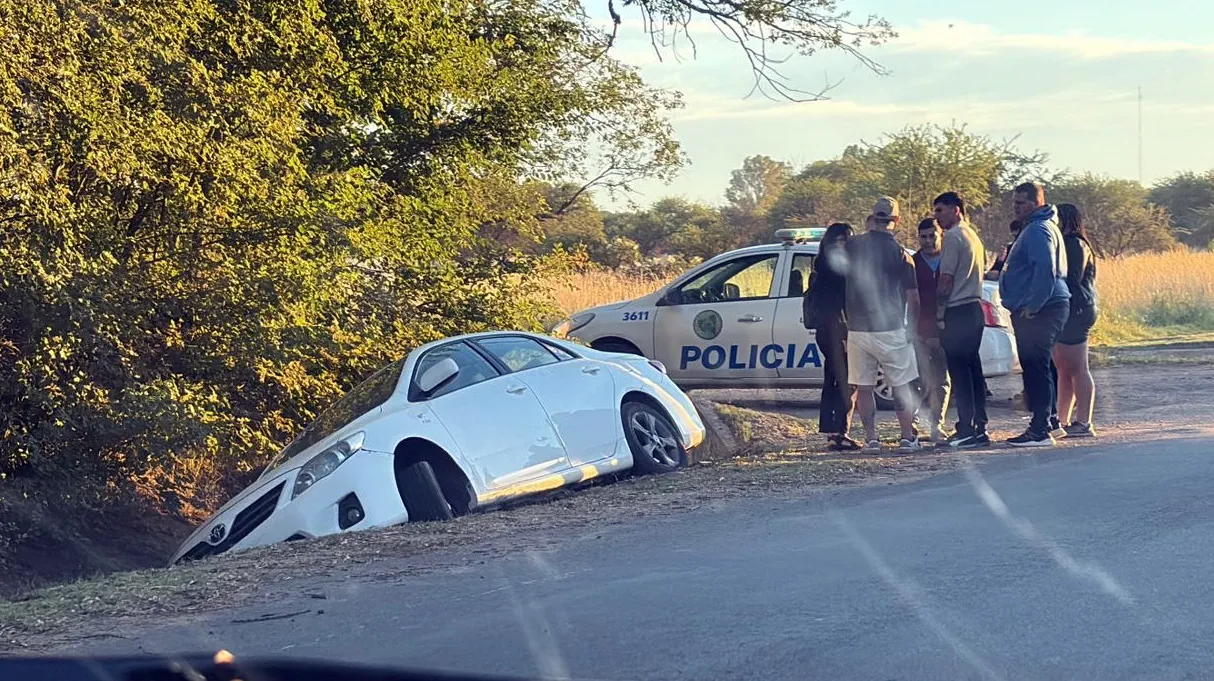 DESPISTE DITZ REALICO