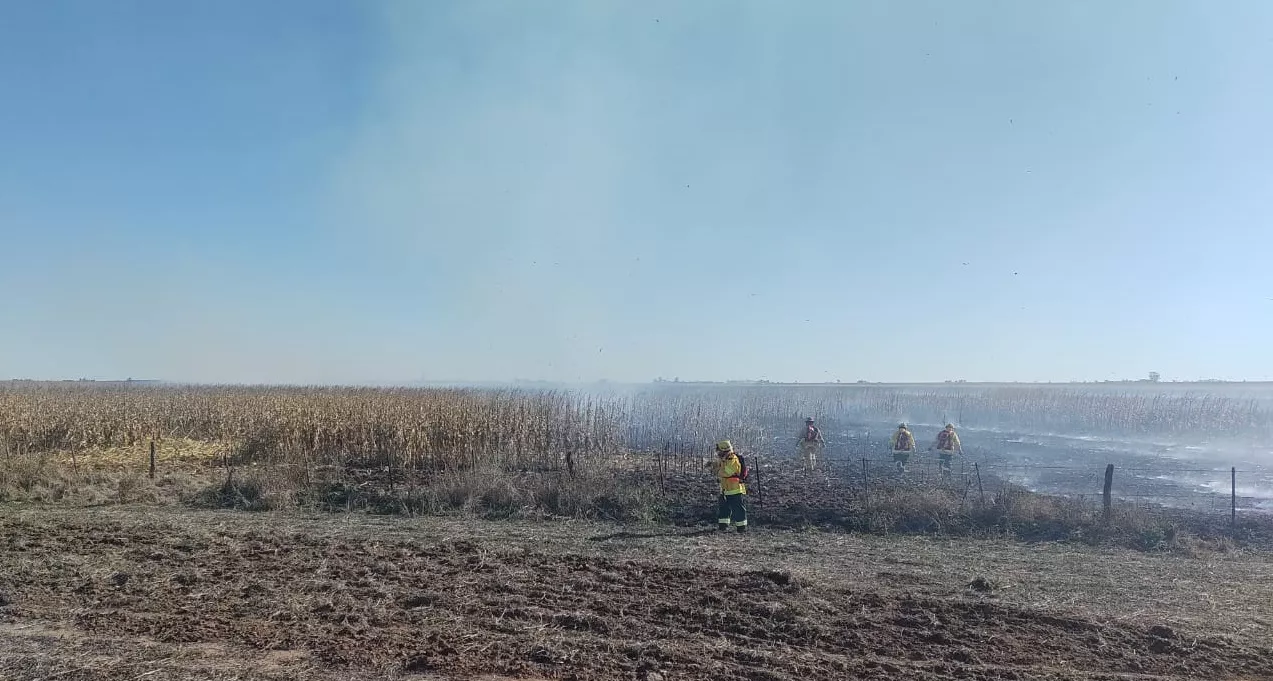 INCENDIO CAMPO