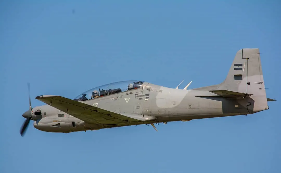tucano