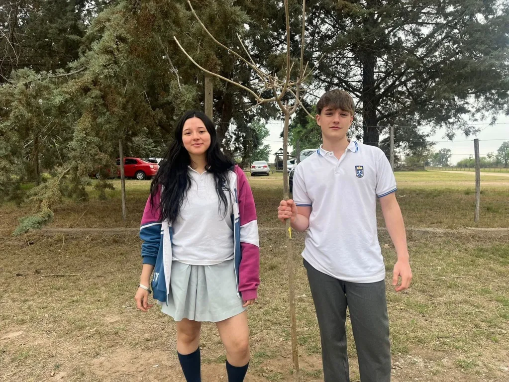 IPSF ARBOLES 16 (FILEminimizer)