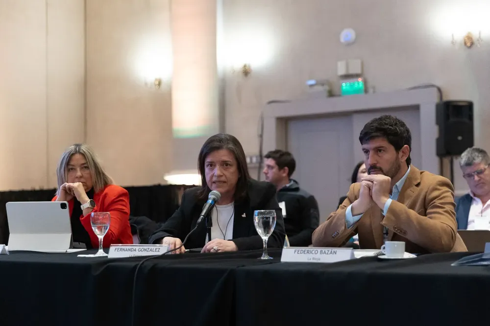 Ministra Fernanda Gonzalez