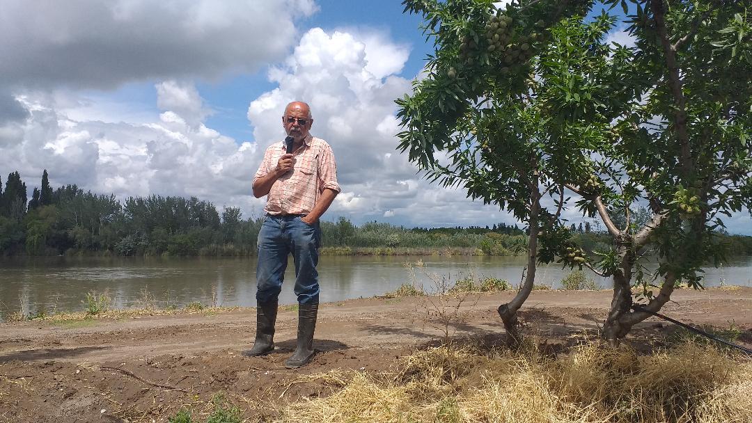 181269_almendras-pampeanas---foto