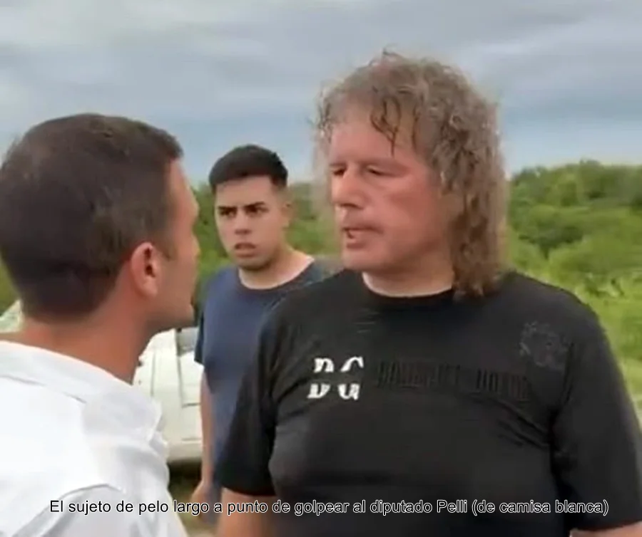 AGRESOR DLE DIPUTADO 2