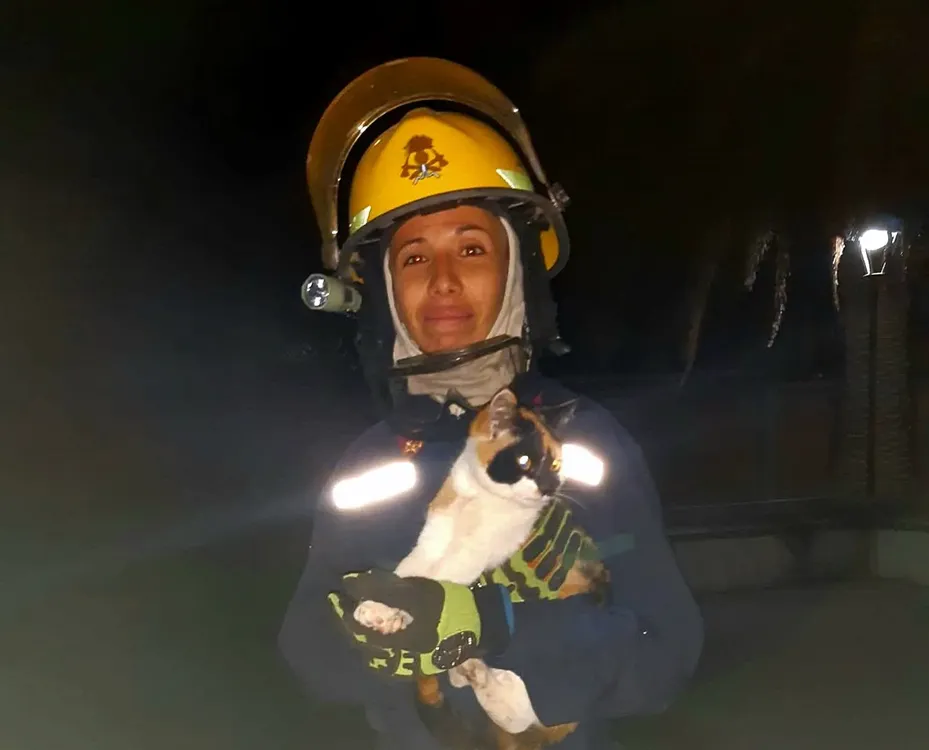bomberos parera gato