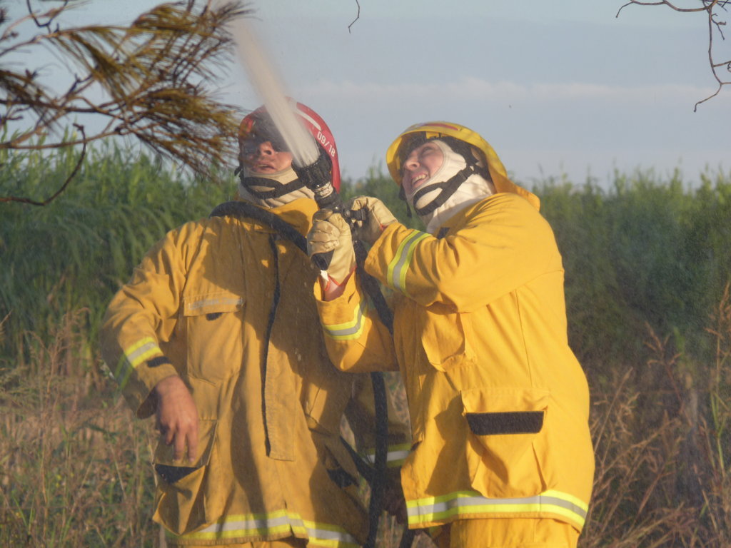 P1360699 (FILEminimizer)