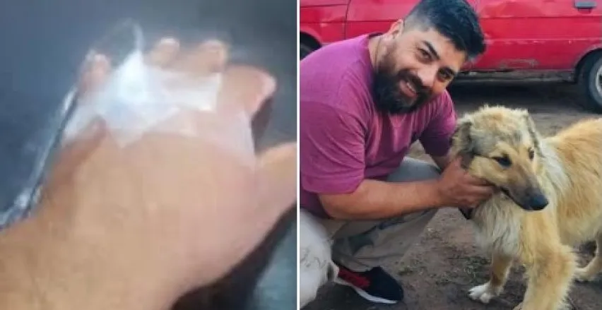 PERROS ENVENENADOS CATRILÓ