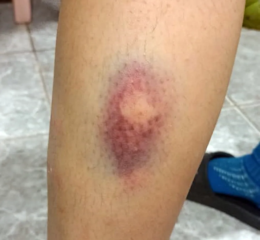 b3a0ad5e-74c3-4f1e-83bc-37143e9c0e96