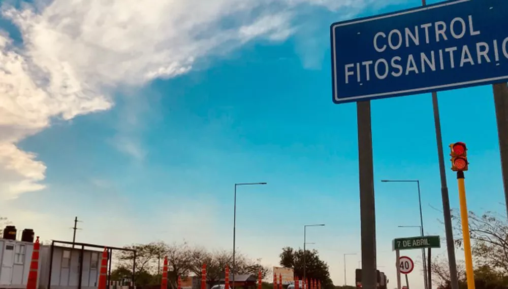 control-fitosanitario-min