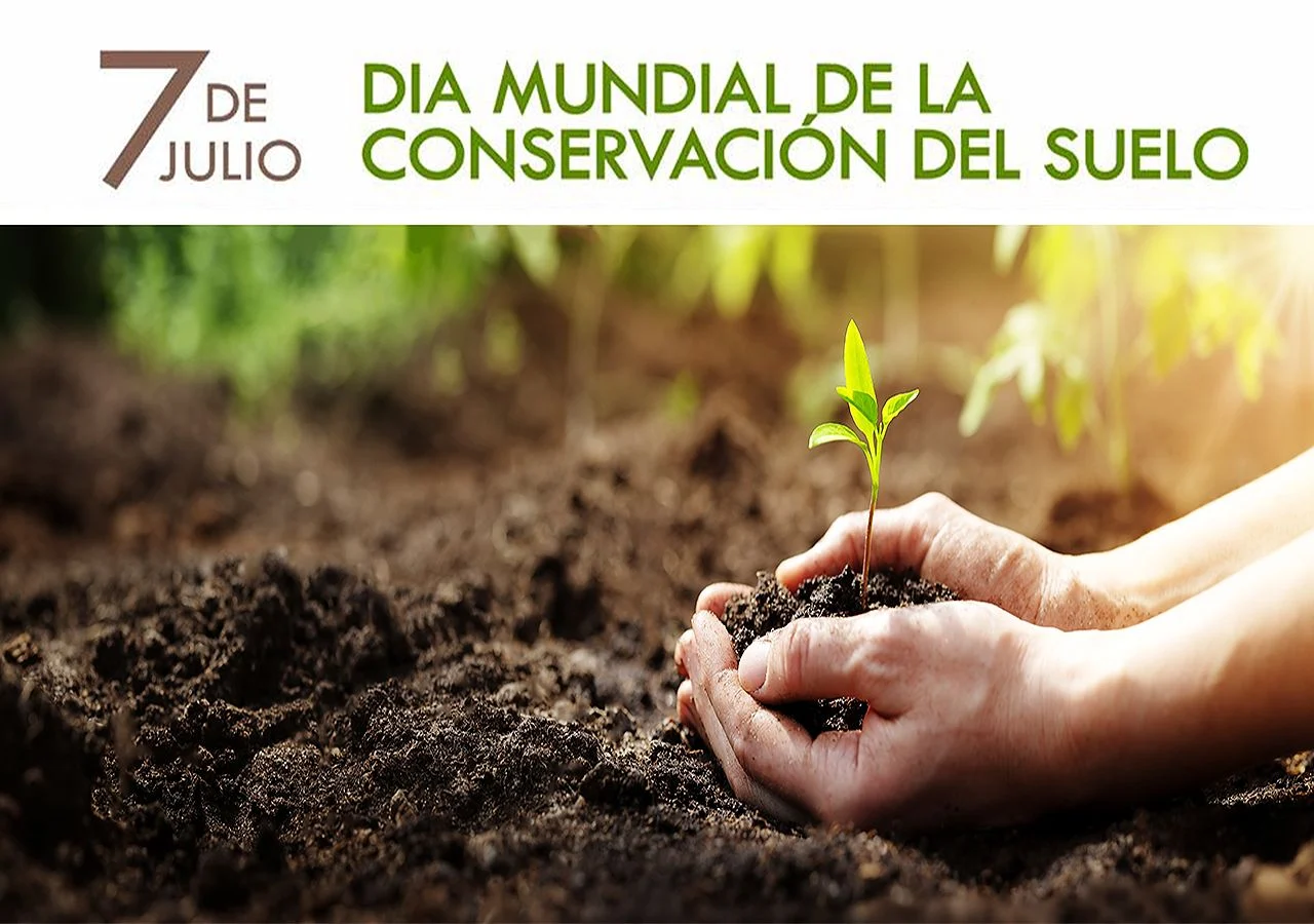 cuidar-los-suelos-es-garantizar-la-alimentacion-348641-1_1280