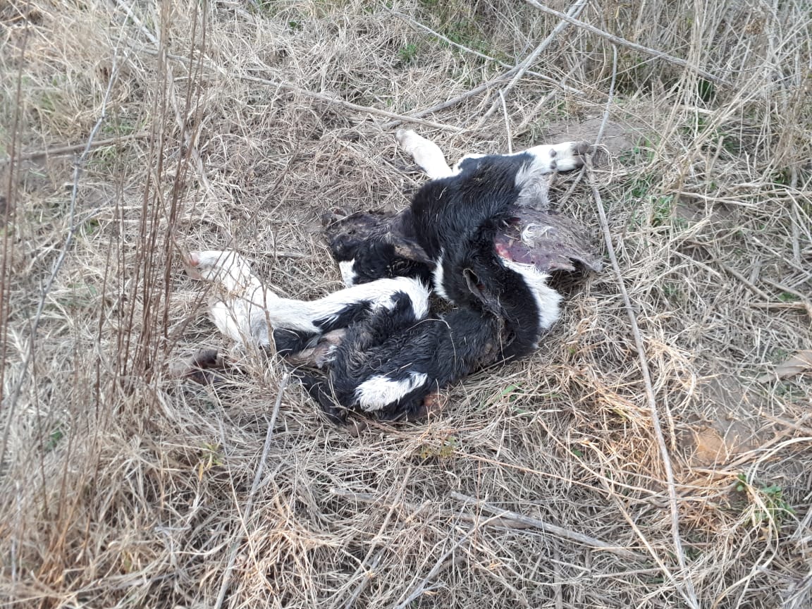 b7f9dabb-3817-446b-bc2c-020bf45965ff