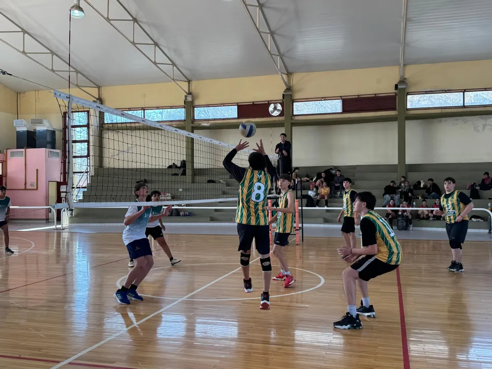 1807ecd9-ddc0-4986-90a8-da7531b5e9d5