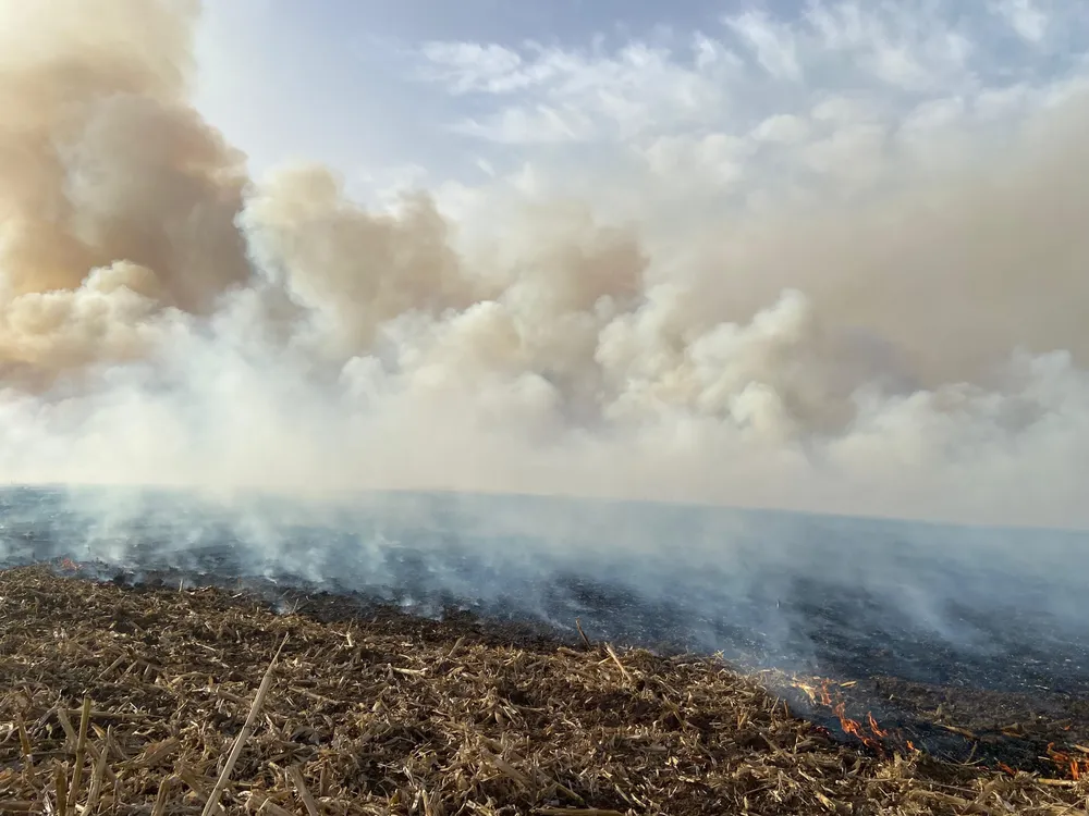 INCNEDIO RASTROJO MAIZ 3