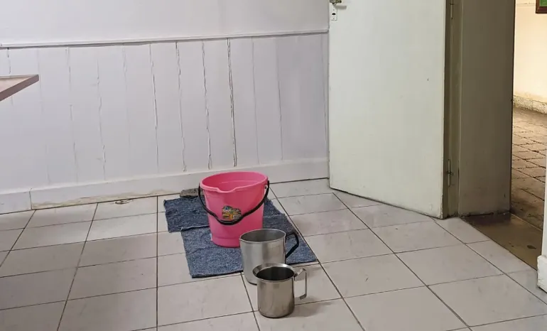 imagen_2024-10-08_113038708