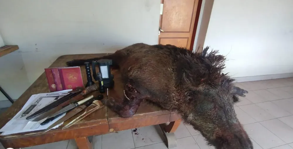 69271a30-f43b-43e6-94b4-0cb51b4d851c