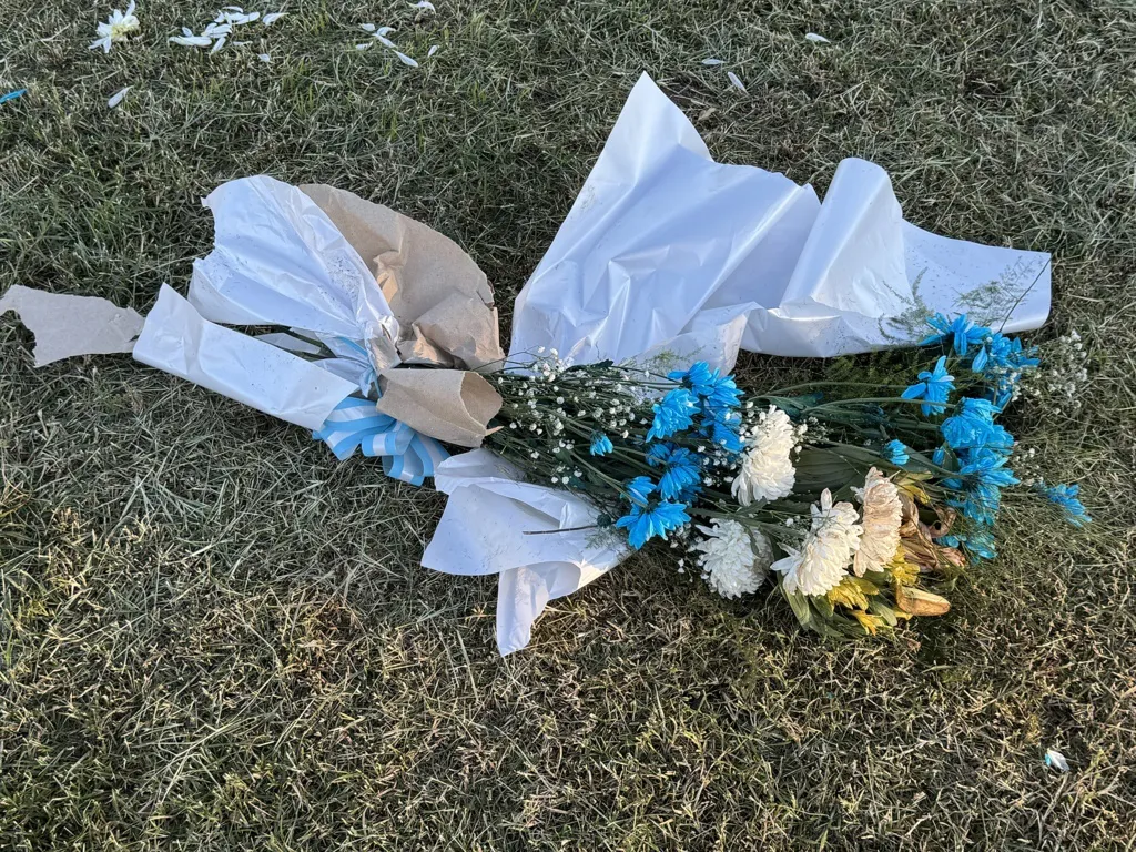 ramo malvinas 1 FILE