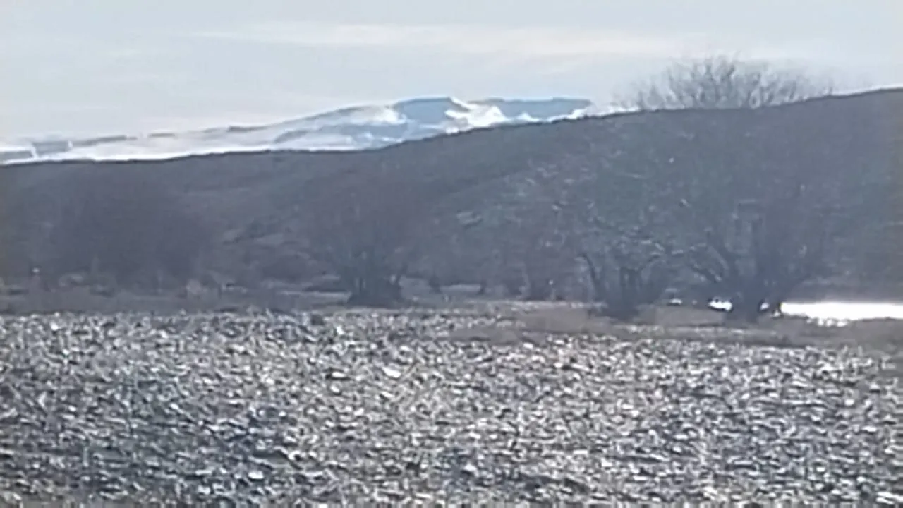 ac90b8b2-2b46-4cf4-b723-a71e44afb4ed