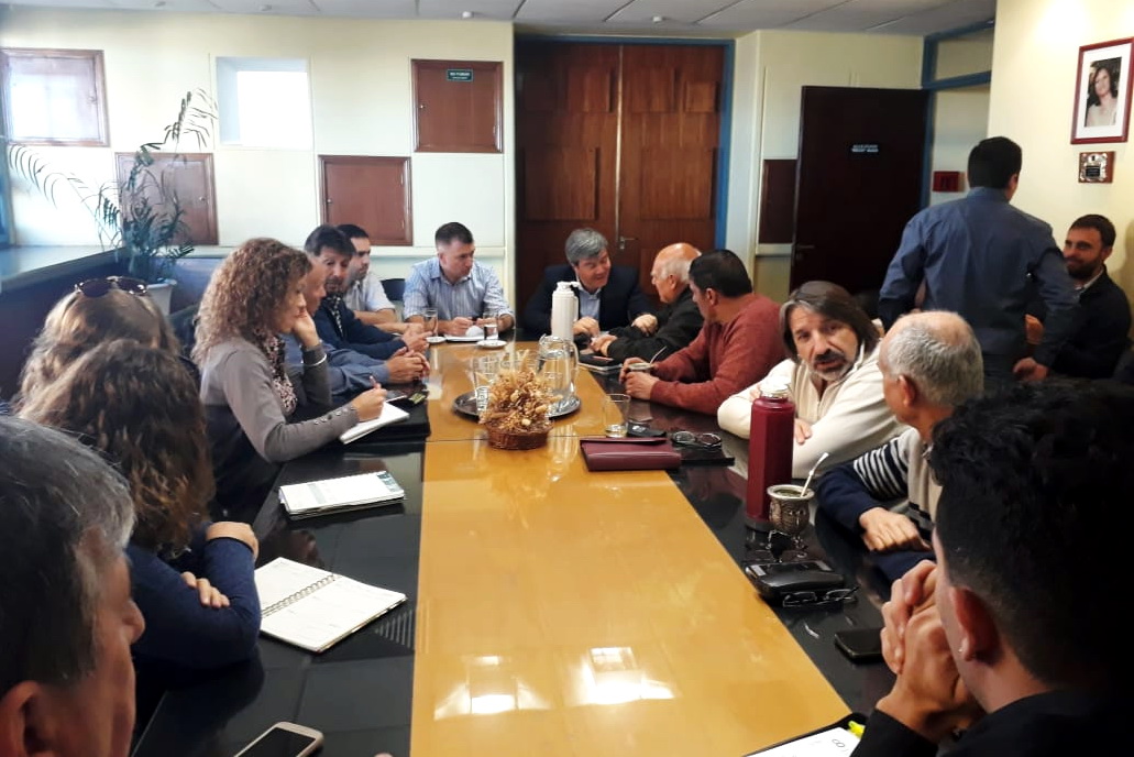 paritaria estatal 2019