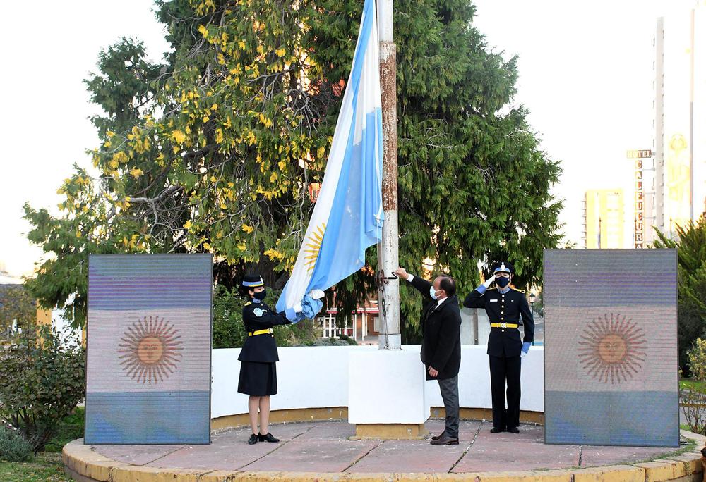 593438_resize-gus_2198