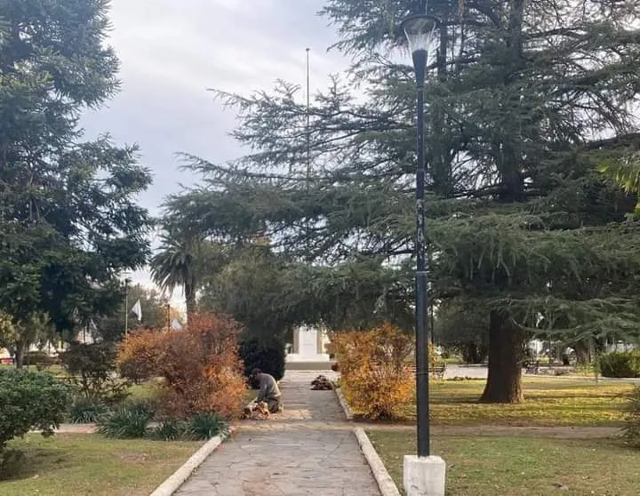 FB_IMG_1717865727940