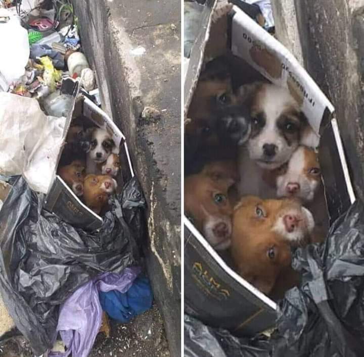 4ccda74d-4533-4b05-8314-e6bd52eb9487