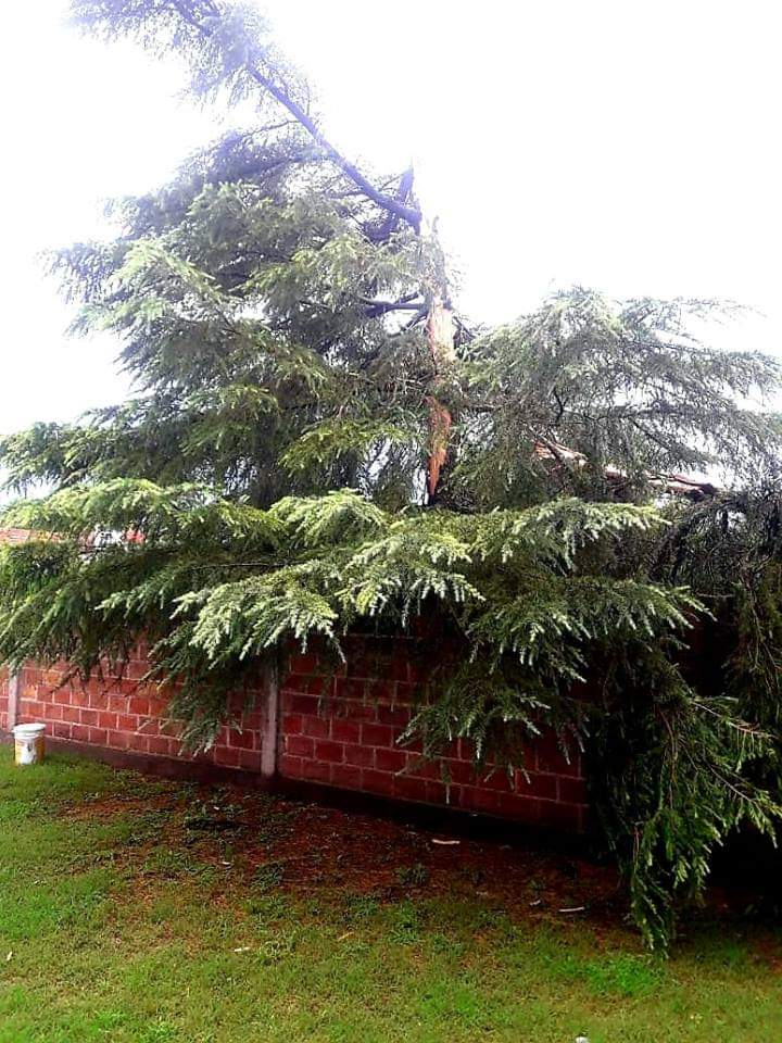 FB_IMG_1549843558835