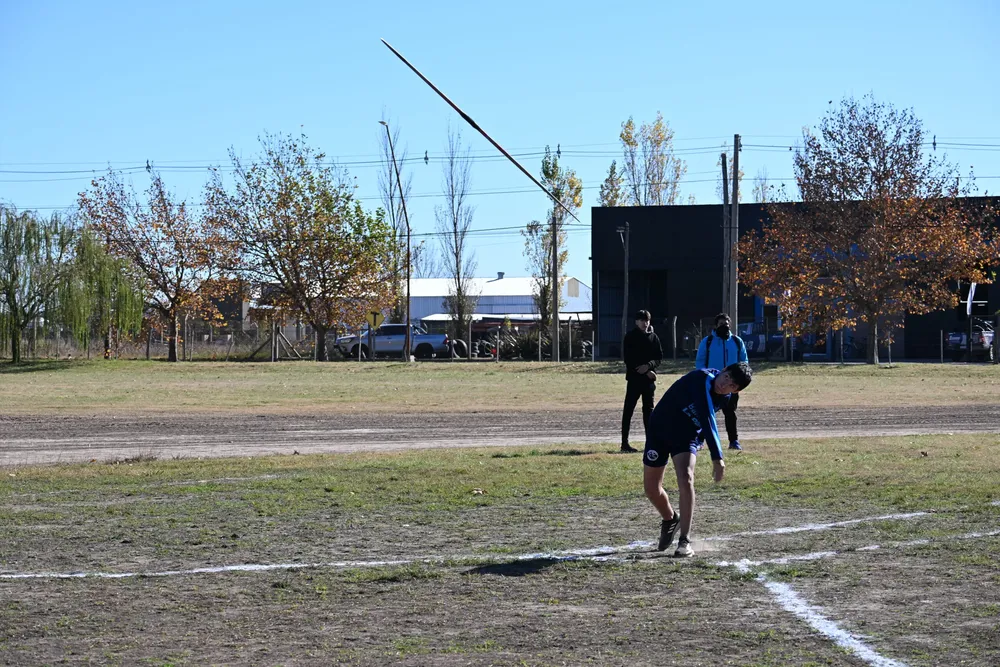 polideportivo 4