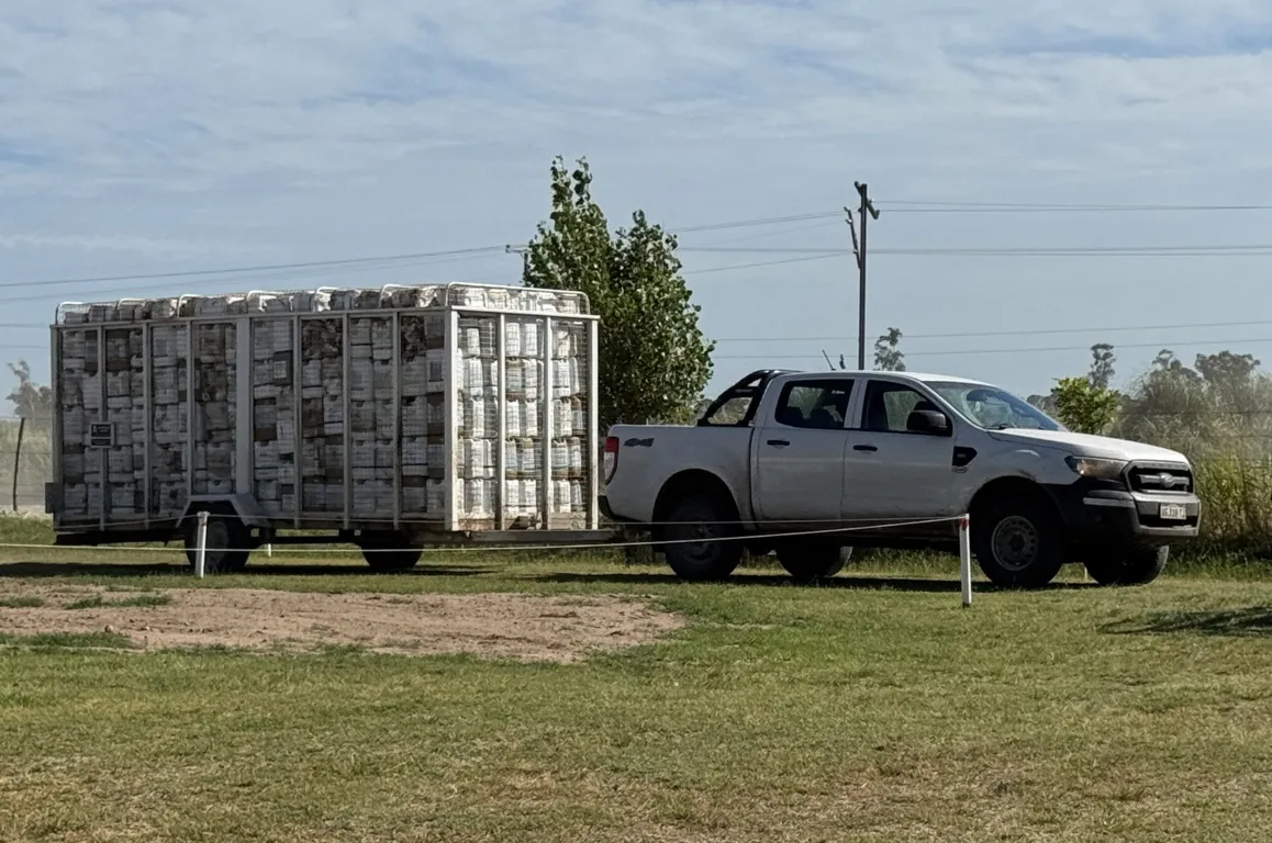 campo limpio envases 3 FILE