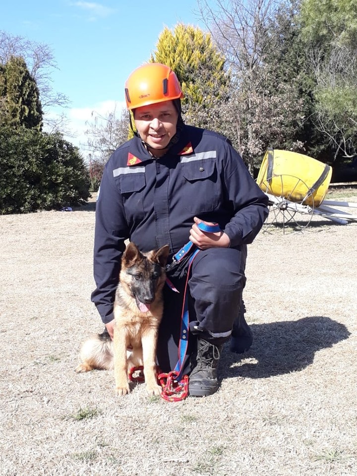 PERRO KIA