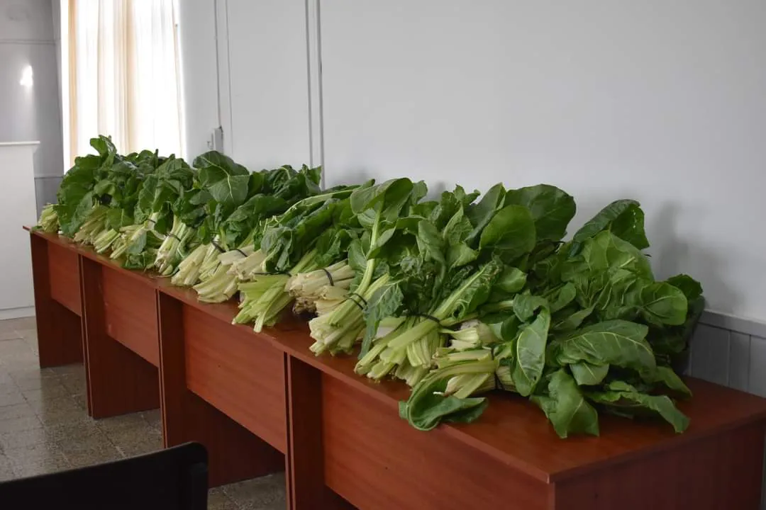 FB_IMG_1725560909265