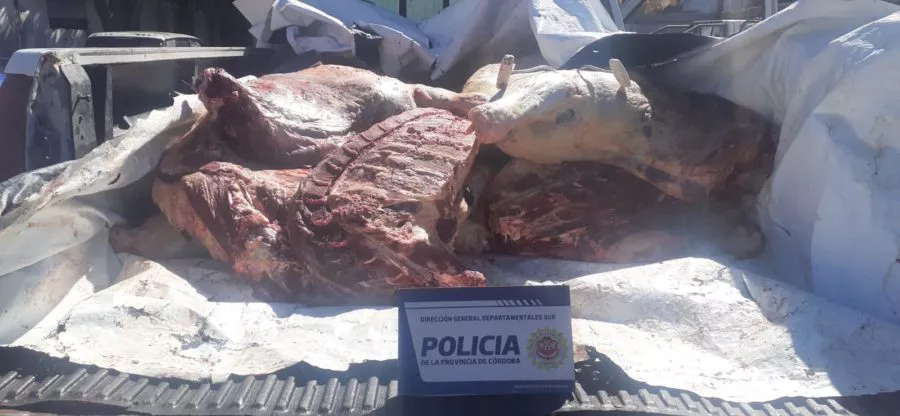 carne ilegal