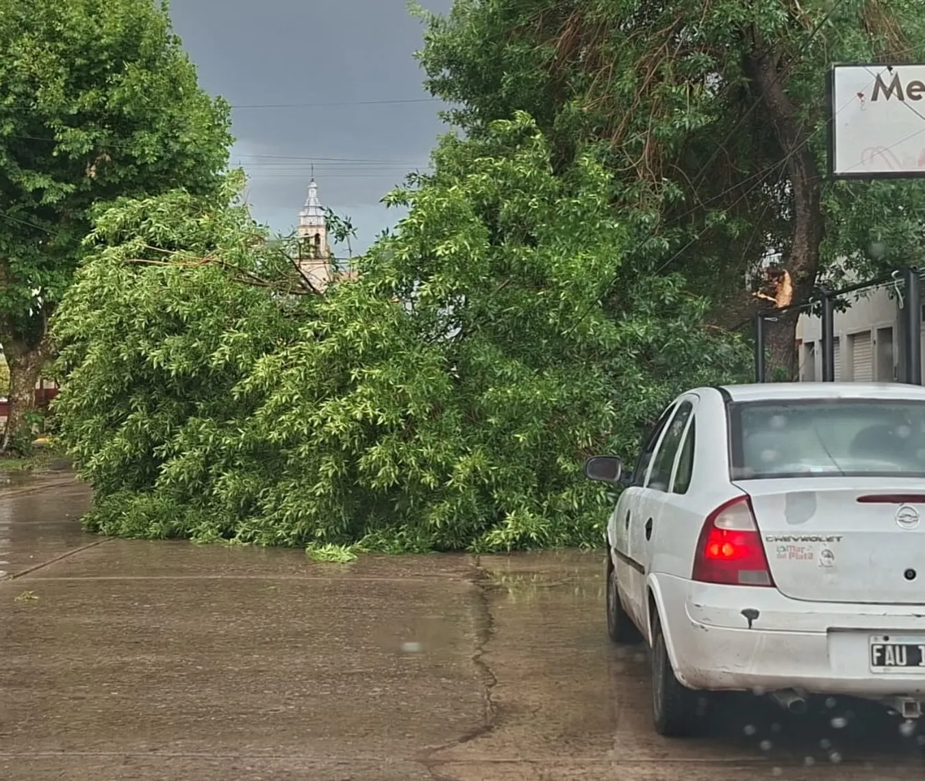 destrozos carlos casares 4