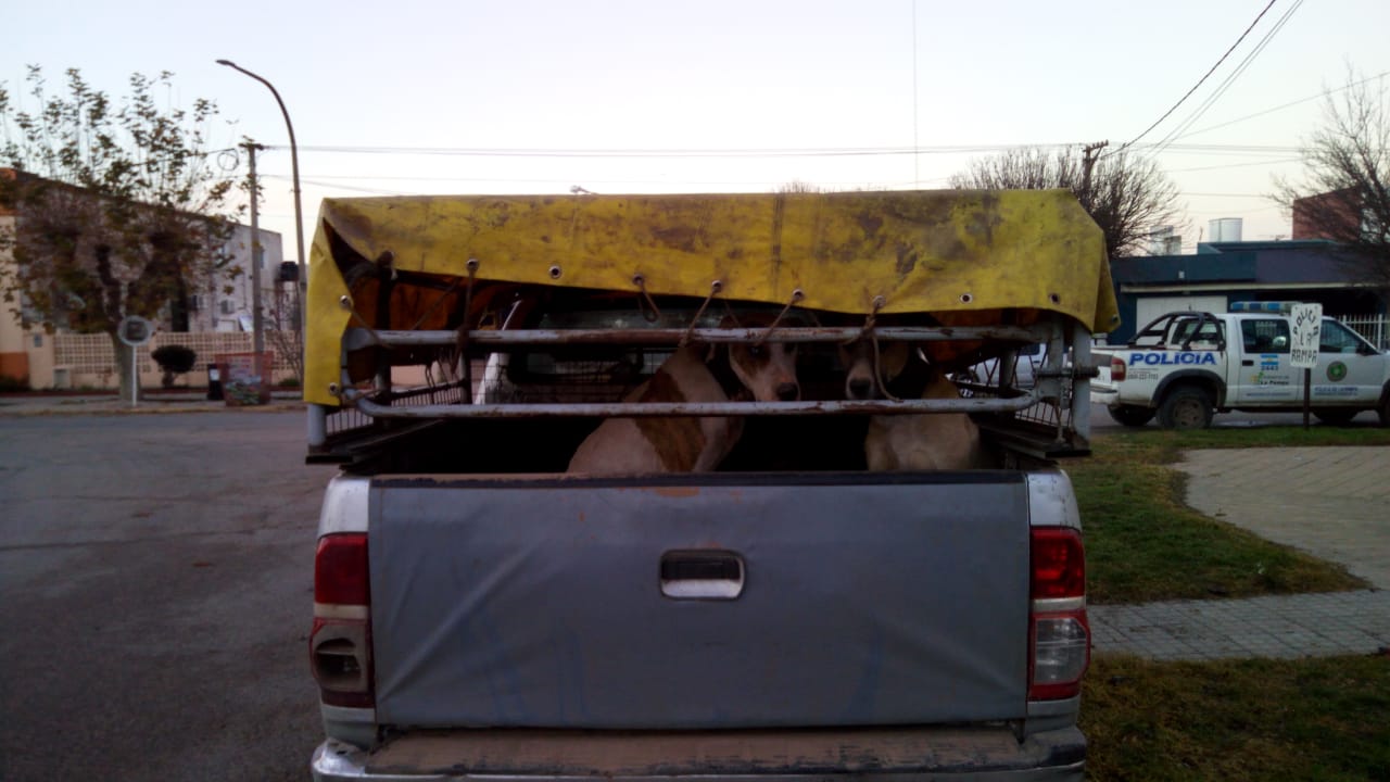 d7278fc5-d58e-4821-bf90-869c4377229f